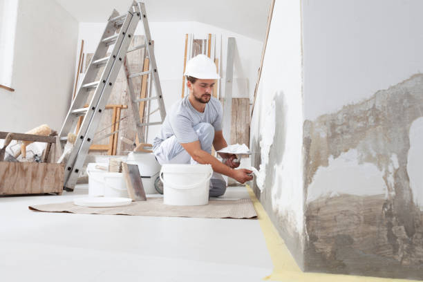 Best Basement Mold Removal  in Edgeworth, PA