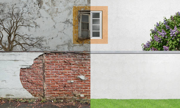 Best Mold Damage Restoration  in Edgeworth, PA